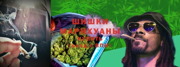 сатива Балабаново