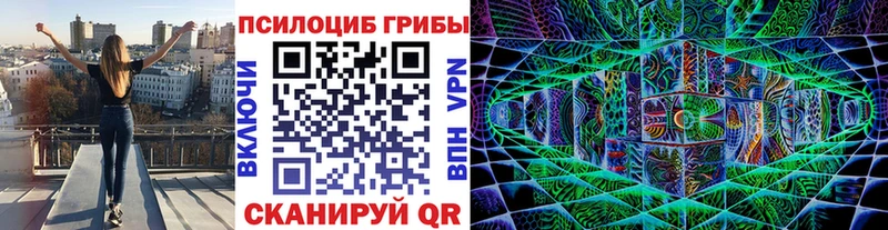 Псилоцибиновые грибы Psilocybine cubensis Краснотурьинск